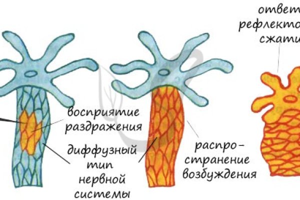 Можно вывести деньги с кракена