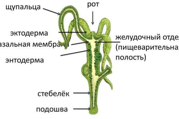 Кракен вход krakens13 at